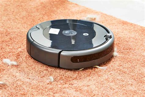 The 7 Best Vacuums For Pet Hair .